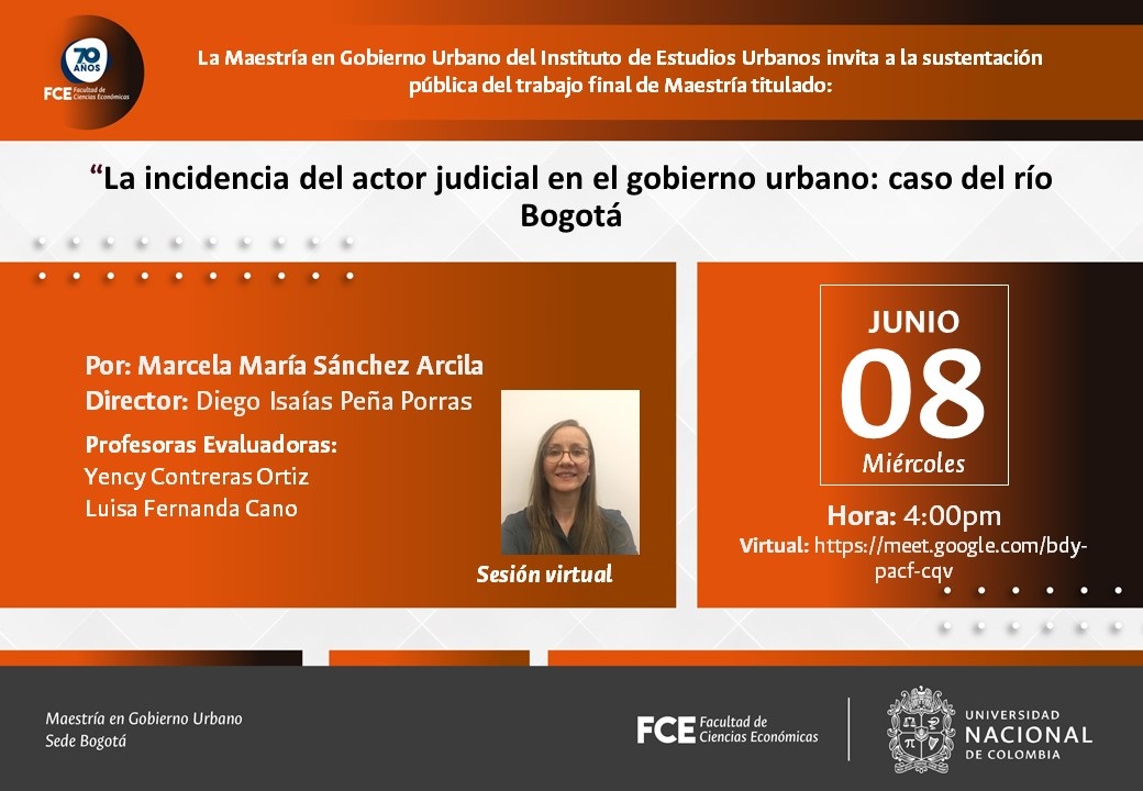 La incidencia del actor judicial en el gobierno urbano: caso del río Bogotá
