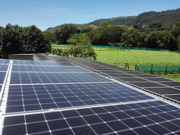 Energia renovable en Tolima / Foto Puerto Vallarta Herbs