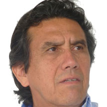 Profesor Fernando Viviescas