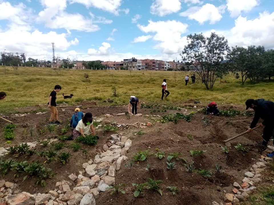 Huerta comunitaria en el sur de Bogotá / Foto cortesía Movimiento Periferia